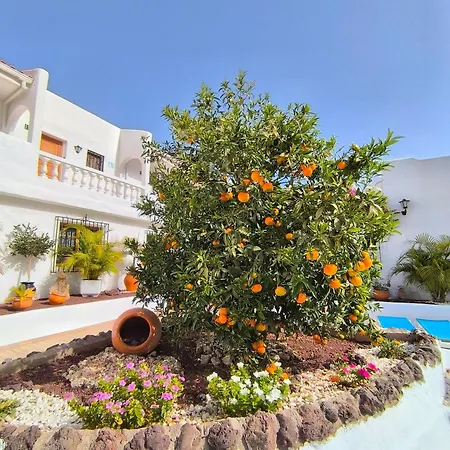 Daire Sunlit Isle - Heated Pool, Fibre Net, Cristianos Los Cristianos (Tenerife)