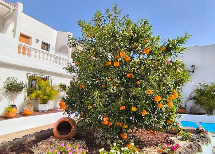 Appartamento Sunlit Isle - Heated Pool, Fibre Net, Cristianos Los Cristianos (Tenerife)